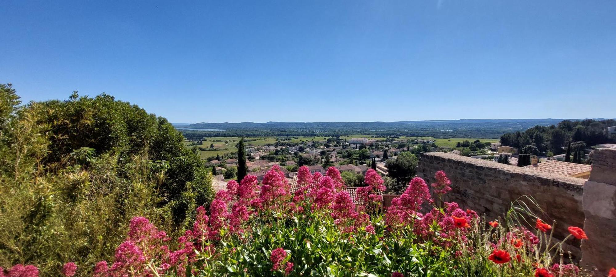 Gite De L'Olivier, Classe, Climatise, Jardin Avec Parking Gratuit Devant Le Logement Et A 5 Minutes Du Centre-Ville A Pied L'Isle-sur-la-Sorgue Bagian luar foto
